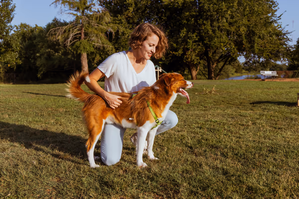 Edmond Dog Park at Bickham-Rudkin Park